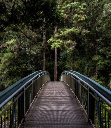 whangarei_forest_unternehmen